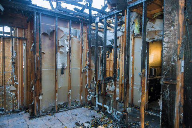 Professional Fire Damage Removal technician working in Flemington, PA